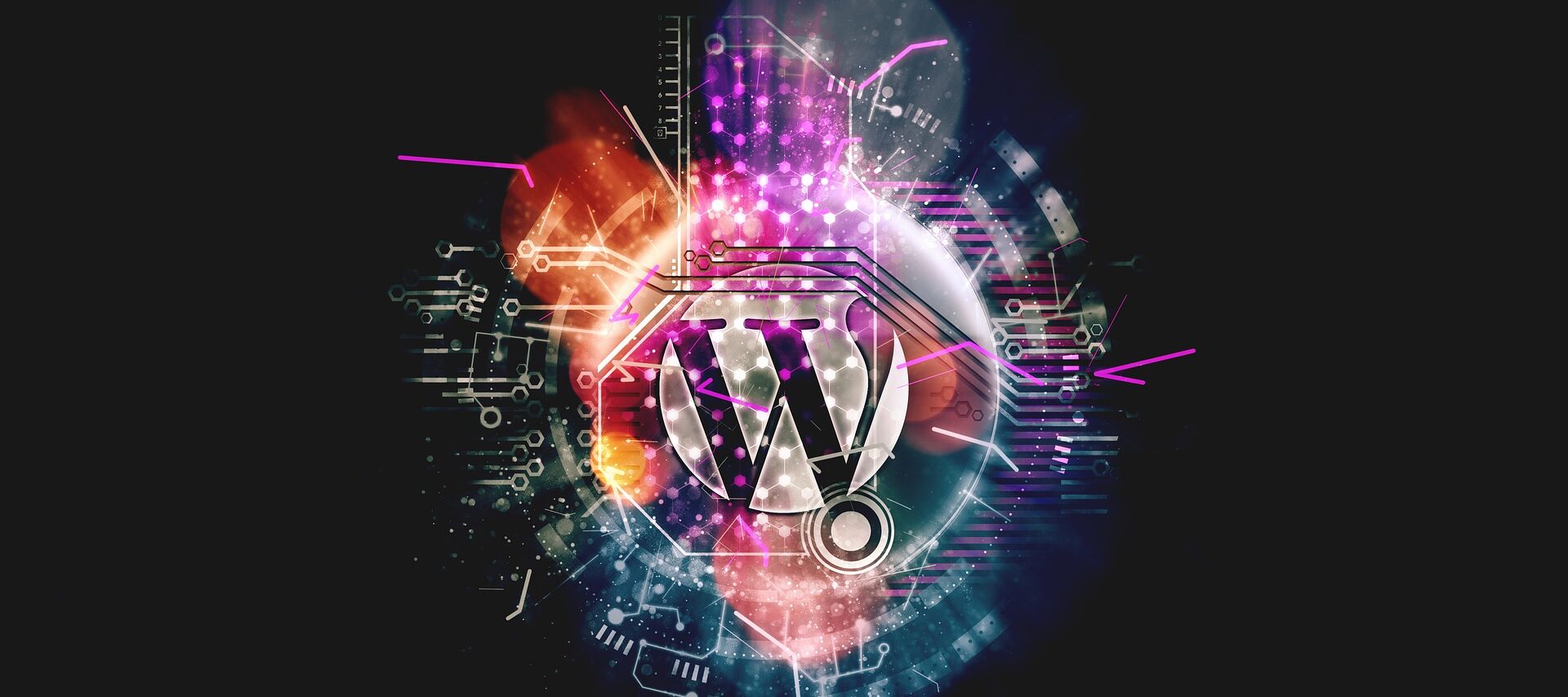 WordPress logo 2